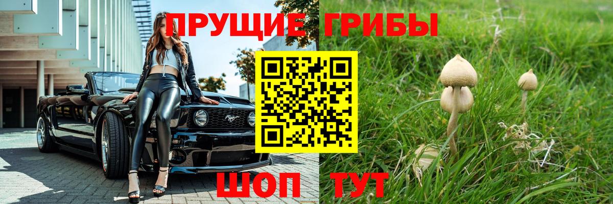 Галлюциногенные грибы мухоморы  Псилоцибиновые грибы мицелий  Вход с VPN  Грязи 